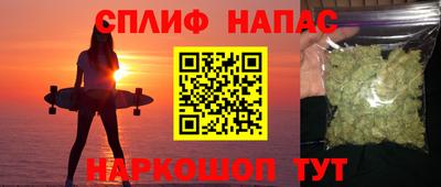 сатива Гатчина