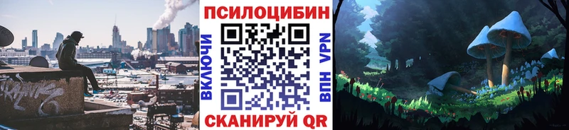 Галлюциногенные грибы Psilocybine cubensis  как найти   Елабуга 
