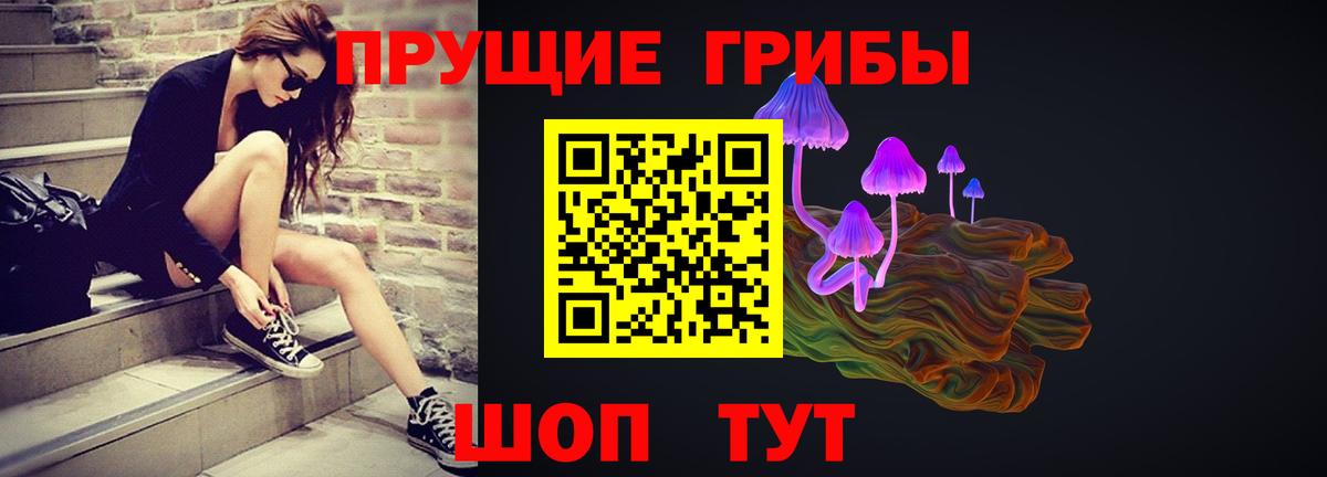 Галлюциногенные грибы GOLDEN TEACHER  Псилоцибиновые грибы MAGIC MUSHROOMS  Елабуга 