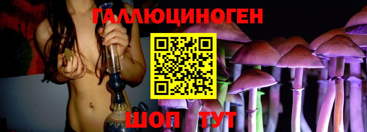Елабуга  Псилоцибиновые грибы Psilocybe  Вход с VPN 